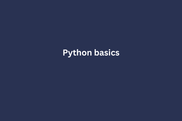 Python Basics: A Beginner's Guide