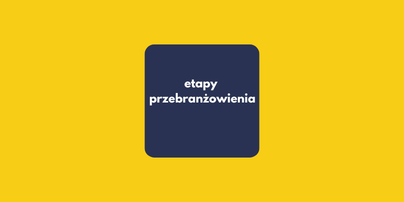 Wszystkie etapy przebranżowienia: Psychologiczna mapa drogowej zmiany zawodu