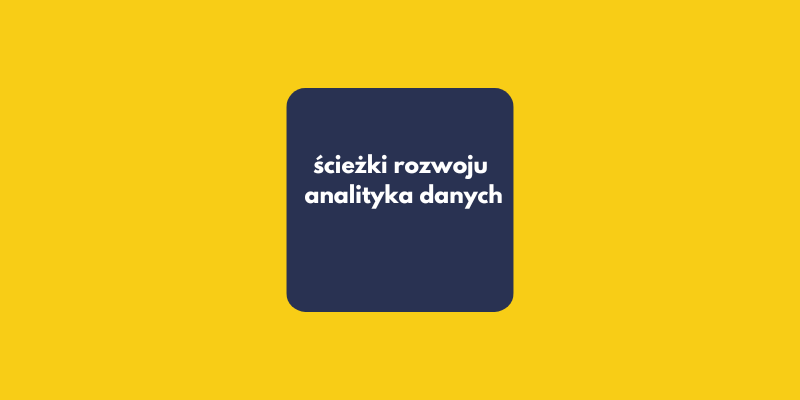 3 ścieżki rozwoju dla analityka danych: Co robić, gdy świat AI puka do drzwi?